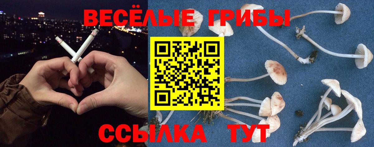 Лабинск  Псилоцибиновые грибы ЛСД  Псилоцибиновые грибы Psilocybe  Вход с VPN 