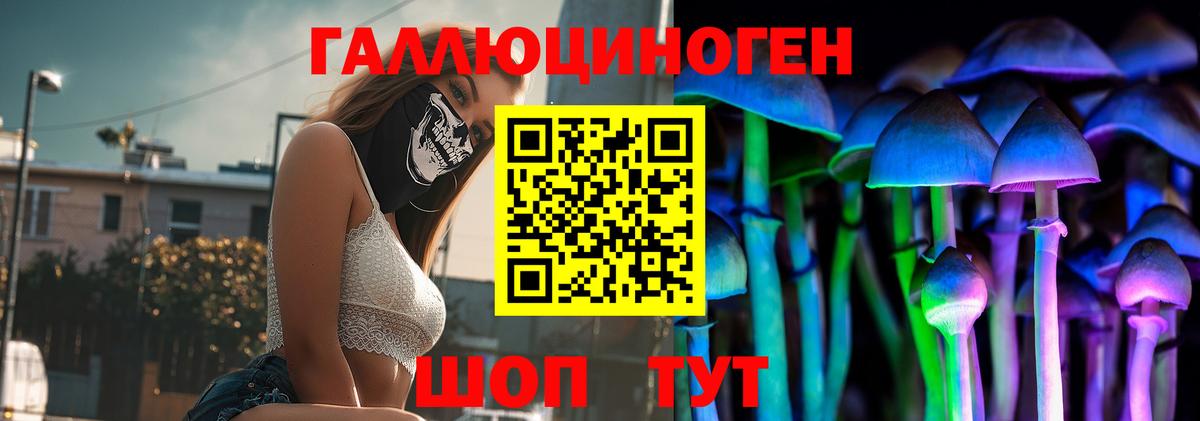 Псилоцибиновые грибы мицелий Лабинск